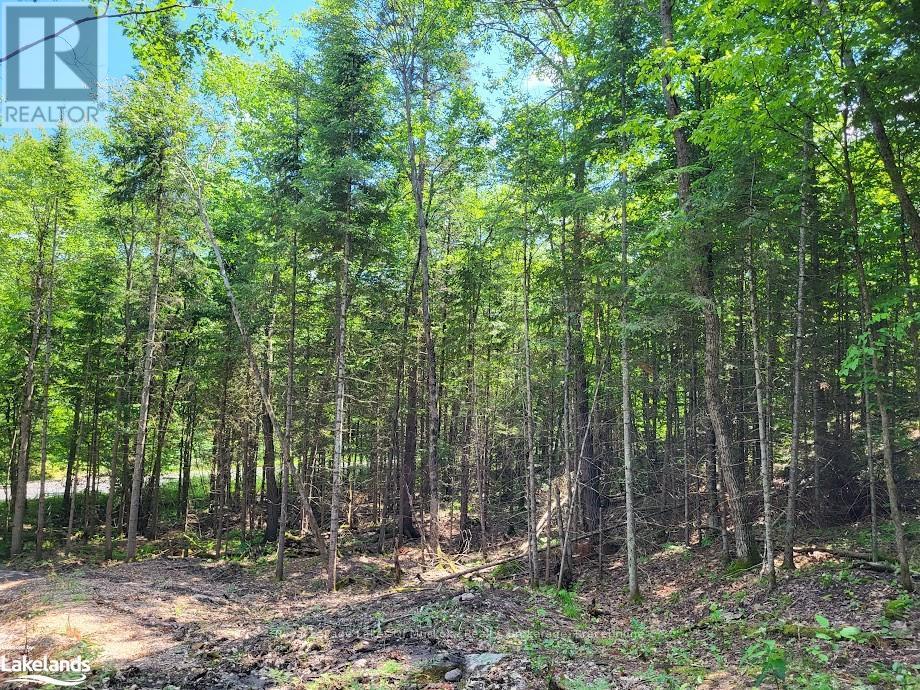 Lot 5 Fairy Falls Road, Lake Of Bays, Ontario  P0B 1A0 - Photo 10 - X10436952