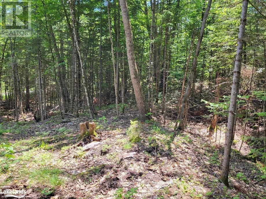 Lot 5 Fairy Falls Road, Lake Of Bays, Ontario  P0B 1A0 - Photo 12 - X10436952
