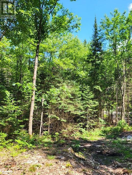 Lot 5 Fairy Falls Road, Lake Of Bays, Ontario  P0B 1A0 - Photo 13 - X10436952
