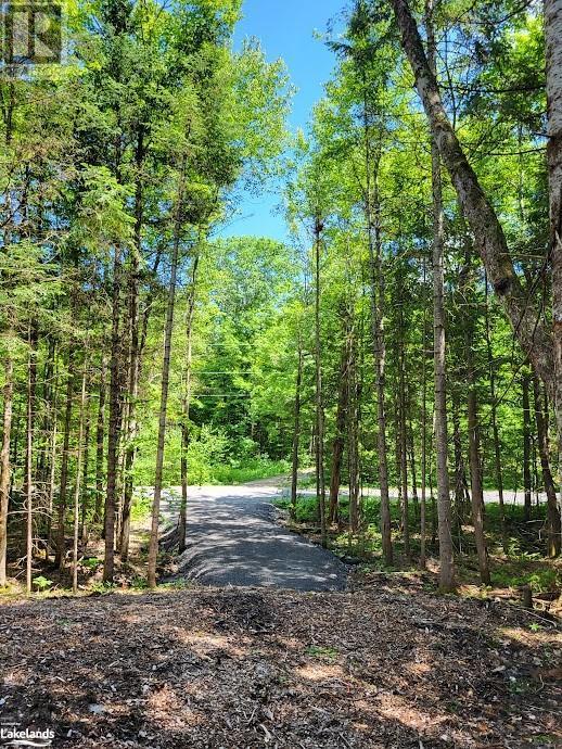 Lot 5 Fairy Falls Road, Lake Of Bays, Ontario  P0B 1A0 - Photo 15 - X10436952