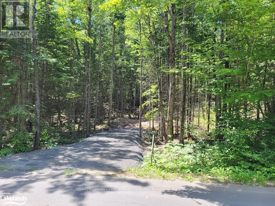Lot 5 Fairy Falls Road, Lake Of Bays, Ontario  P0B 1A0 - Photo 2 - X10436952