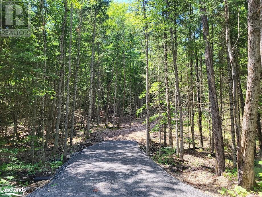 Lot 5 Fairy Falls Road, Lake Of Bays, Ontario  P0B 1A0 - Photo 3 - X10436952