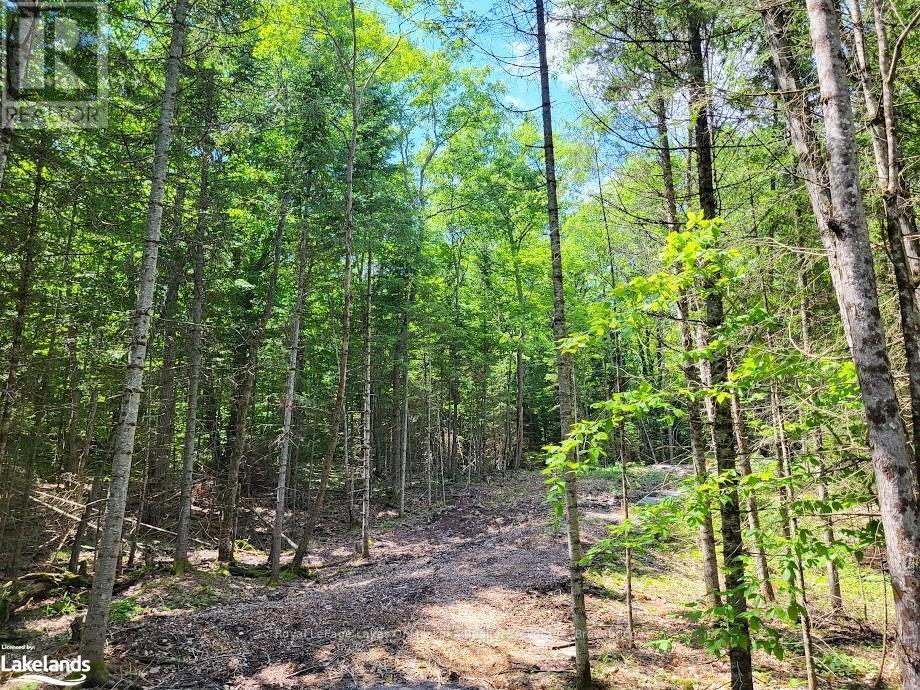 Lot 5 Fairy Falls Road, Lake Of Bays, Ontario  P0B 1A0 - Photo 4 - X10436952