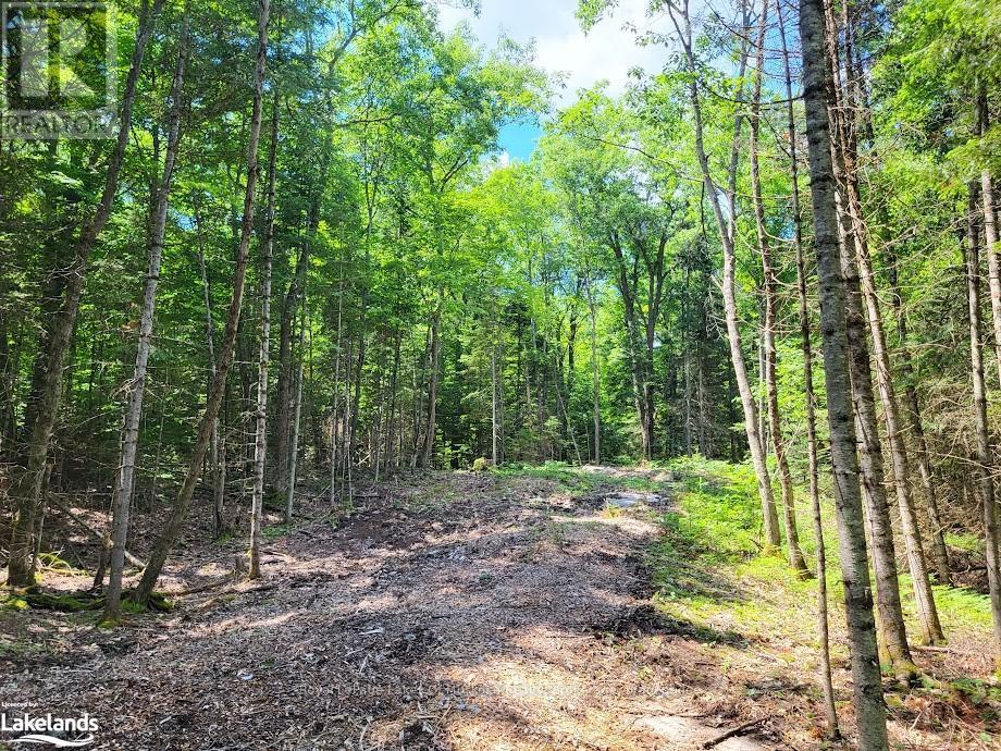 Lot 5 Fairy Falls Road, Lake Of Bays, Ontario  P0B 1A0 - Photo 5 - X10436952