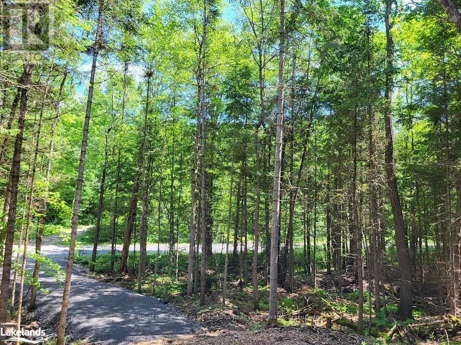 Lot 5 Fairy Falls Road, Lake Of Bays, Ontario  P0B 1A0 - Photo 7 - X10436952