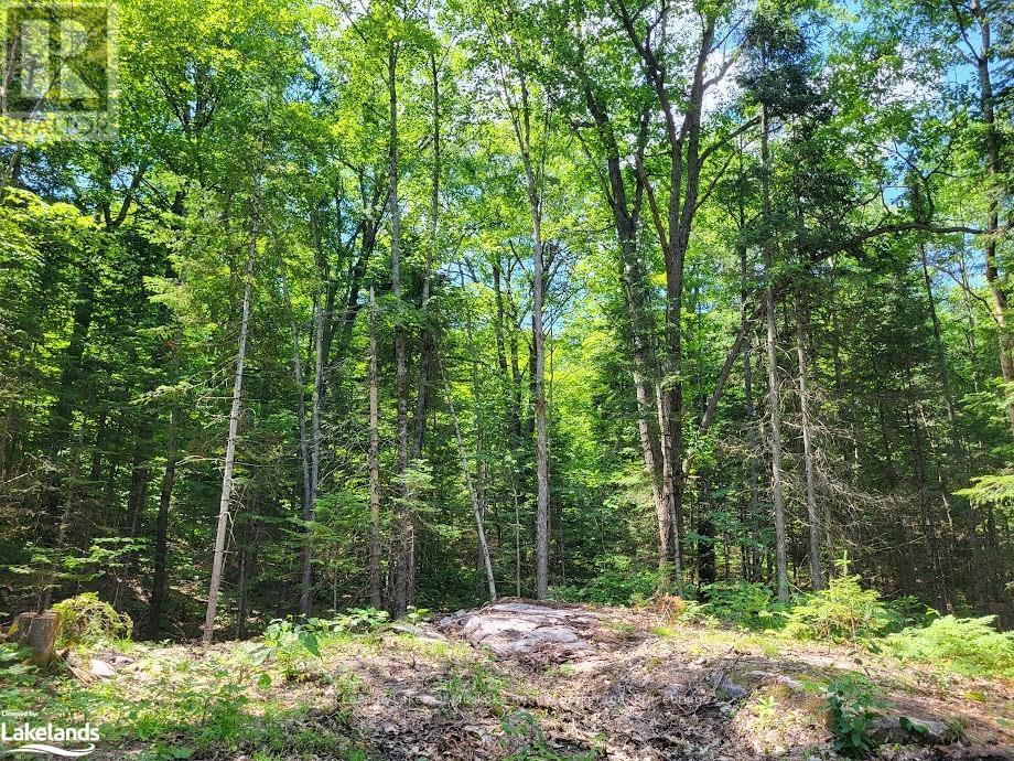 Lot 5 Fairy Falls Road, Lake Of Bays, Ontario  P0B 1A0 - Photo 9 - X10436952