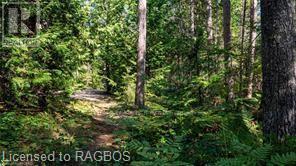 6313 6, Northern Bruce Peninsula, Ontario  N0H 2R0 - Photo 43 - X10847909
