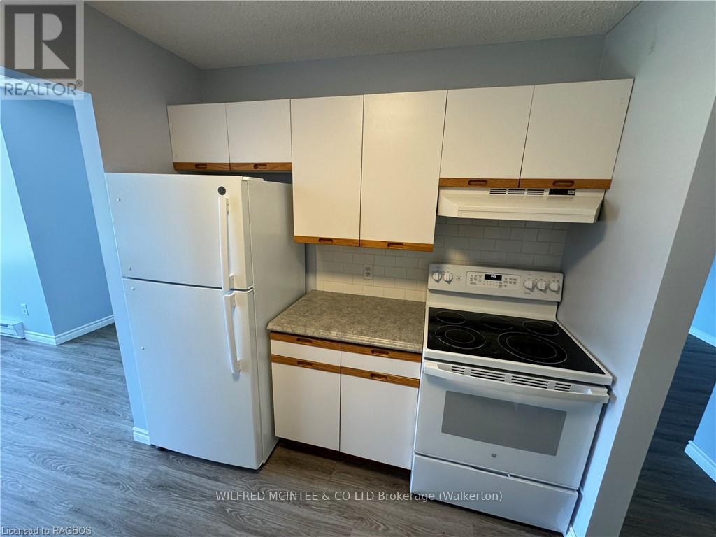 303 - 125 Hinks Street, Brockton, Ontario  N0G 2V0 - Photo 4 - X10845692
