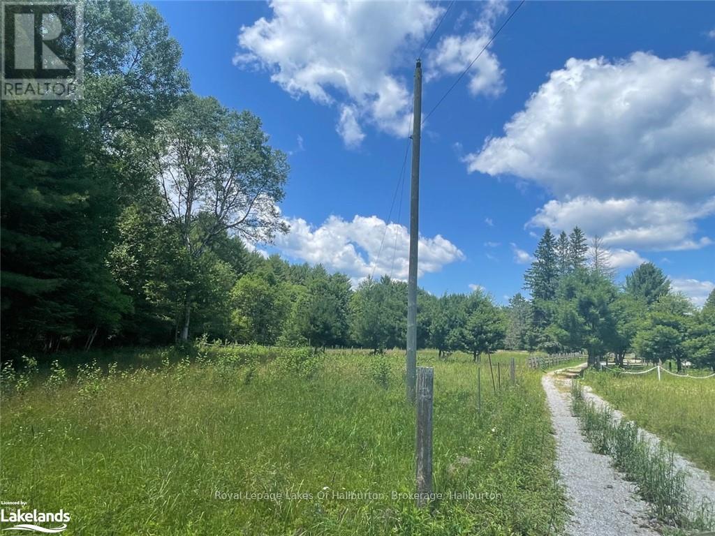 1036 Privet Drive, Minden Hills, Ontario  K0M 2A1 - Photo 14 - X10437362