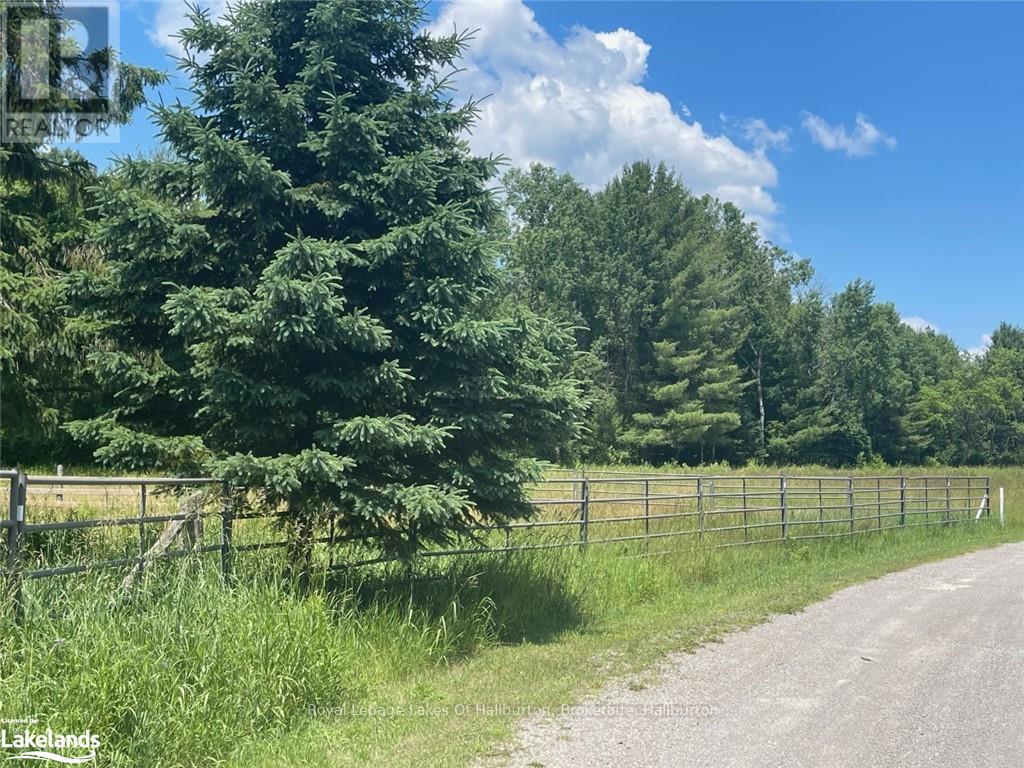 1036 Privet Drive, Minden Hills, Ontario  K0M 2A1 - Photo 23 - X10437362