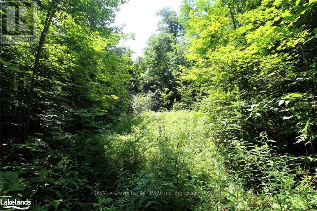 0A 20TH SIDE RD, Parry Sound Remote Area, Ontario