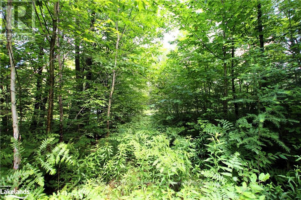 0a 20th Side Rd, Parry Sound Remote Area, Ontario  P0H 1Y0 - Photo 3 - X10437409