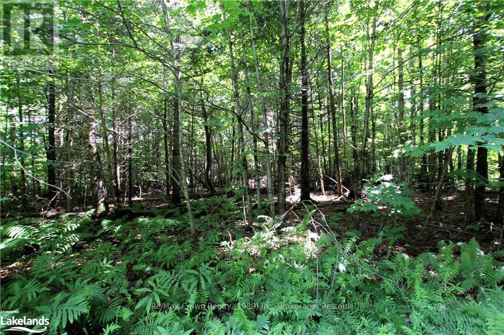 0a 20th Side Rd, Parry Sound Remote Area, Ontario  P0H 1Y0 - Photo 4 - X10437409