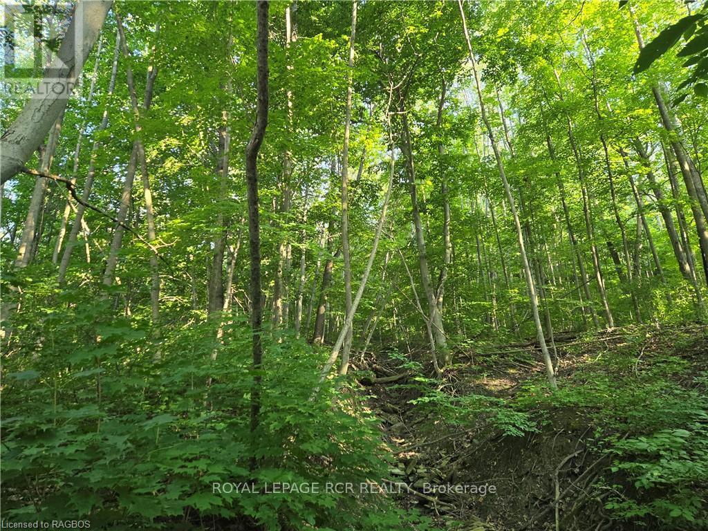 130 Old Highway 26, Meaford, Ontario  N4L 1W7 - Photo 15 - X10846297