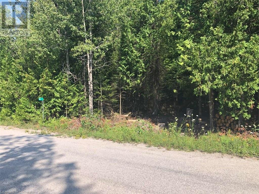 6 Dunn Street, Lion's Head, Ontario  N0H 1W0 - Photo 16 - 40632758