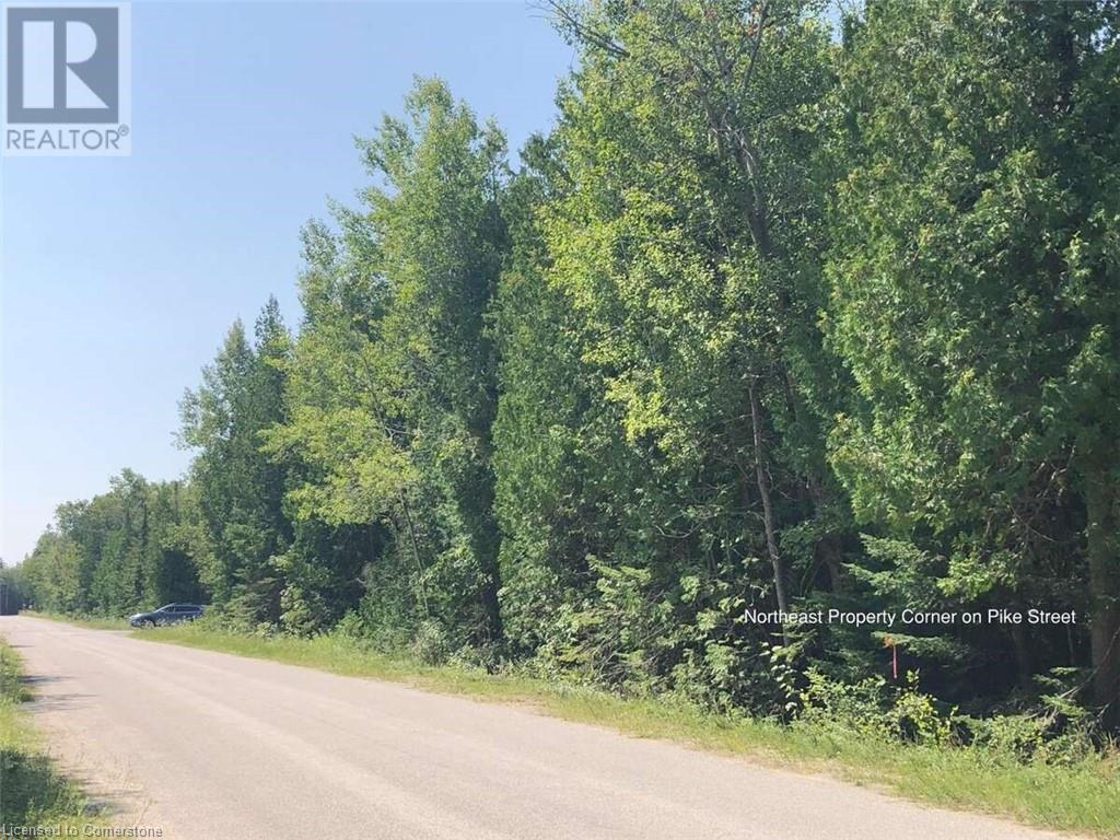 6 Dunn Street, Lion's Head, Ontario  N0H 1W0 - Photo 7 - 40632758