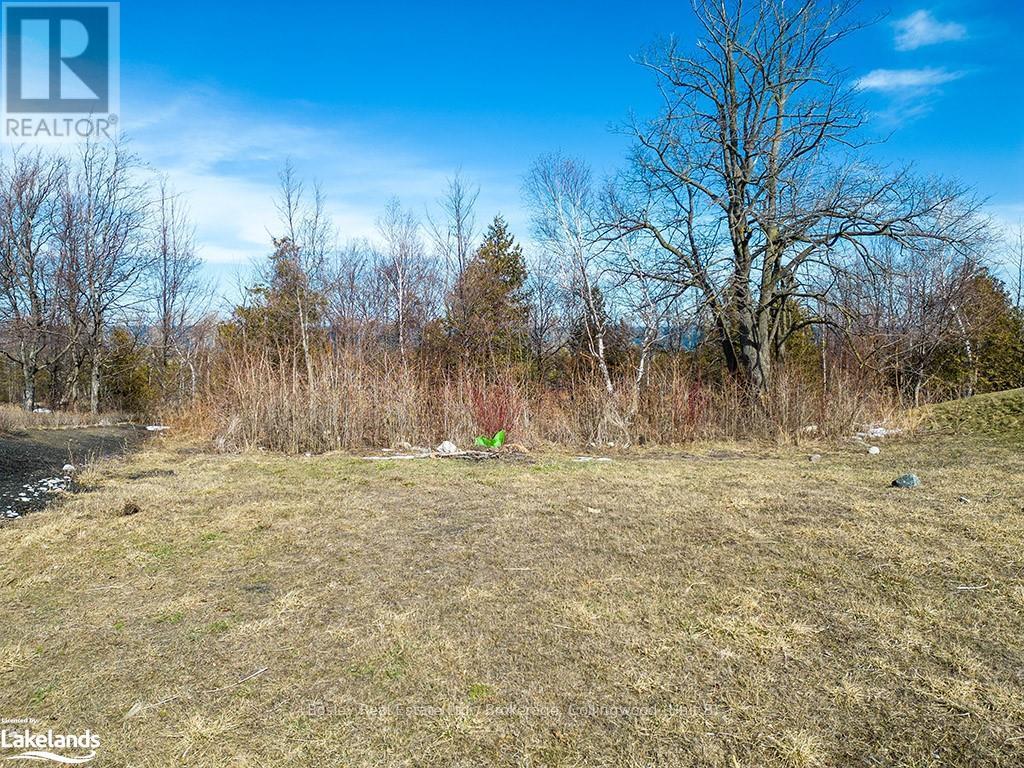131 West Ridge Drive, Blue Mountains, Ontario  N0H 2P0 - Photo 9 - X10439327