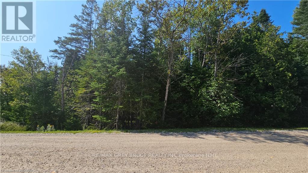 Pt Lt 35 Con 3 Wbr Murray Avenue, Northern Bruce Peninsula, Ontario  N0H 1W0 - Photo 15 - X10845706