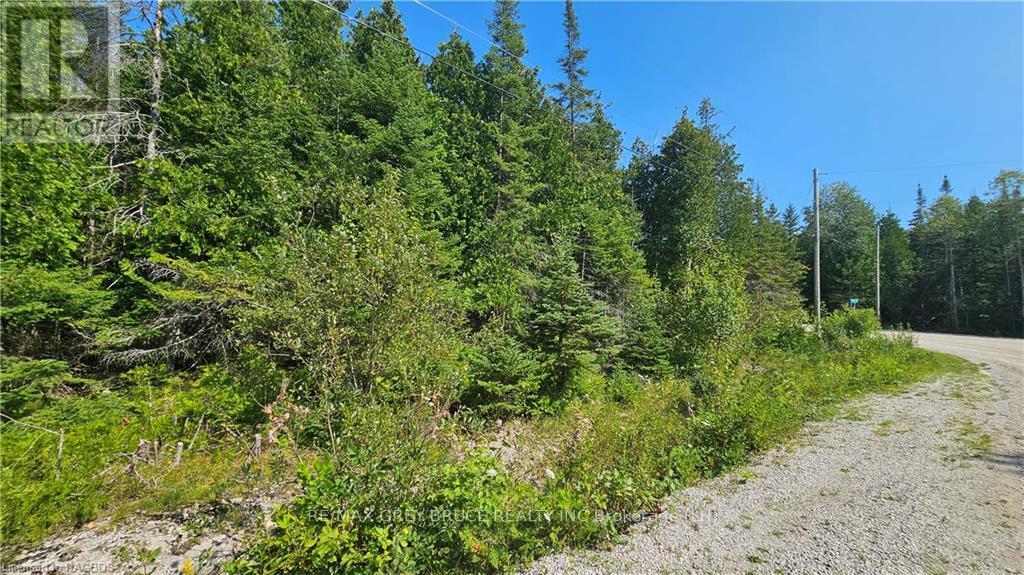 Pt Lt 35 Con 3 Wbr Murray Avenue, Northern Bruce Peninsula, Ontario  N0H 1W0 - Photo 7 - X10845706
