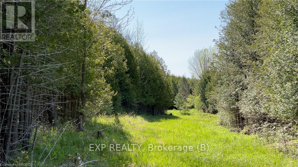 557329 4th Concession S, Meaford, Ontario  N0H 1E0 - Photo 10 - X10845954
