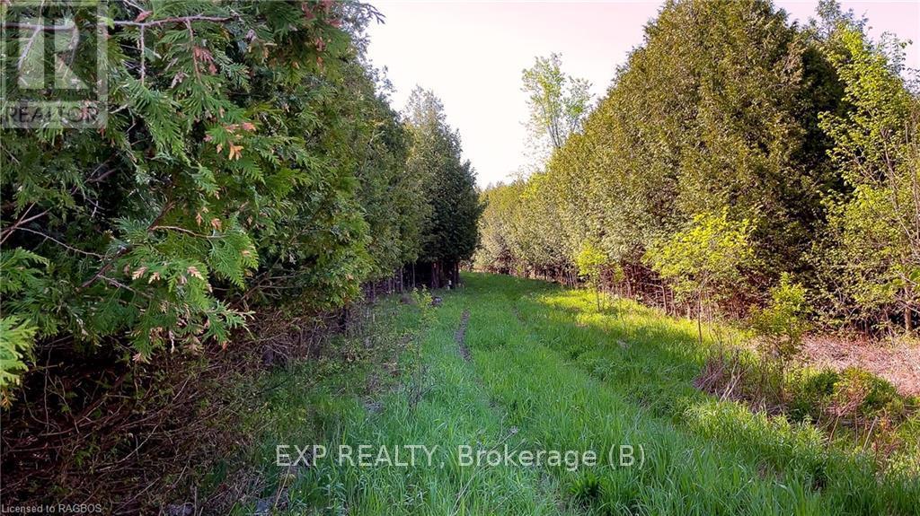 557329 4th Concession S, Meaford, Ontario  N0H 1E0 - Photo 7 - X10845954