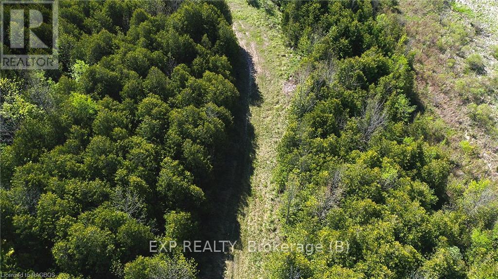 557329 4th Concession S, Meaford, Ontario  N0H 1E0 - Photo 8 - X10845954