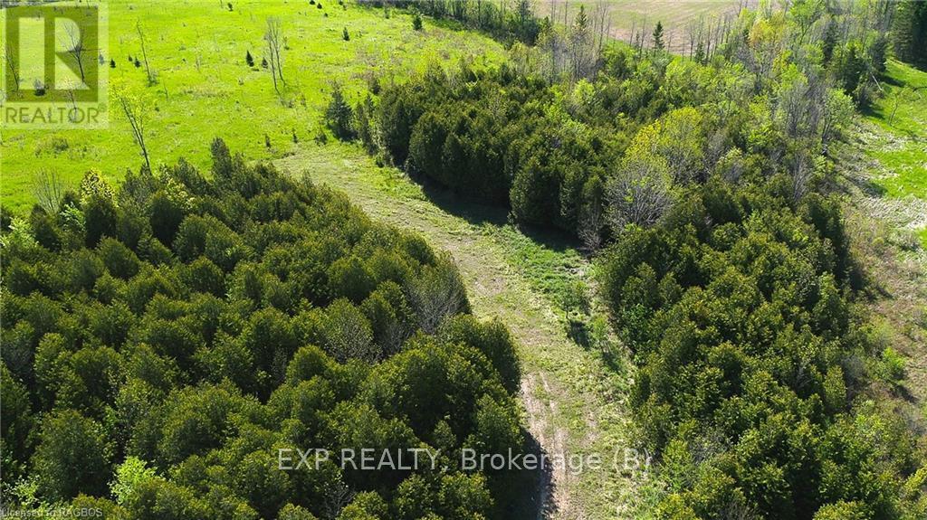 557329 4th Concession S, Meaford, Ontario  N0H 1E0 - Photo 9 - X10845954