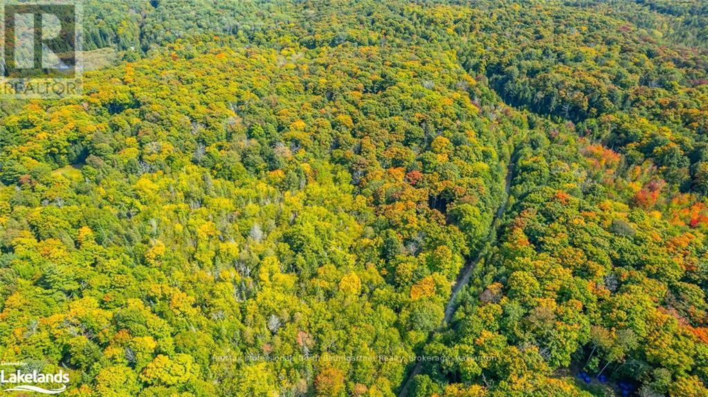 Lot 49 Basshaunt Lake Road, Dysart Et Al, Ontario  K0M 1M0 - Photo 13 - X10437016