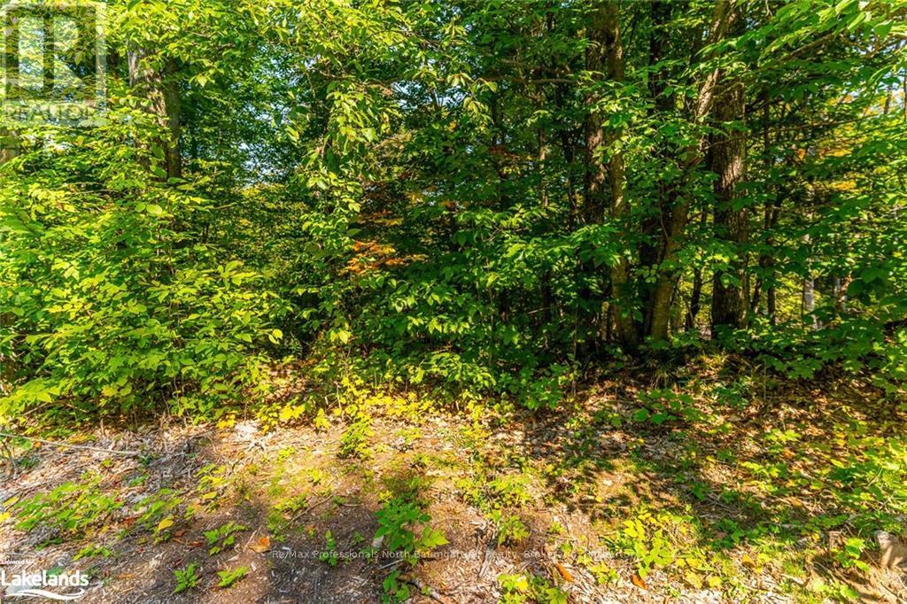 Lot 49 Basshaunt Lake Road, Dysart Et Al, Ontario  K0M 1M0 - Photo 4 - X10437016