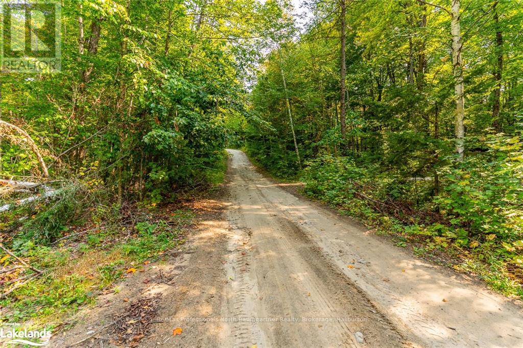 Lot 49 Basshaunt Lake Road, Dysart Et Al, Ontario  K0M 1M0 - Photo 5 - X10437016
