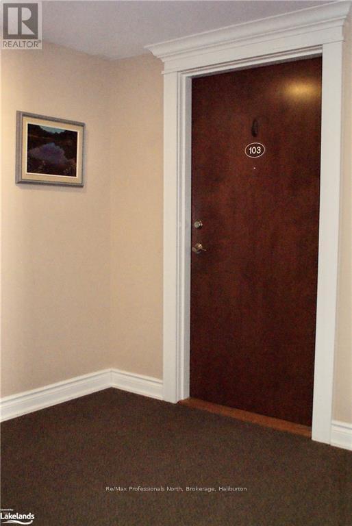 103 - 9 Newcastle Street, Minden Hills, Ontario  K0M 2K0 - Photo 2 - X10439951
