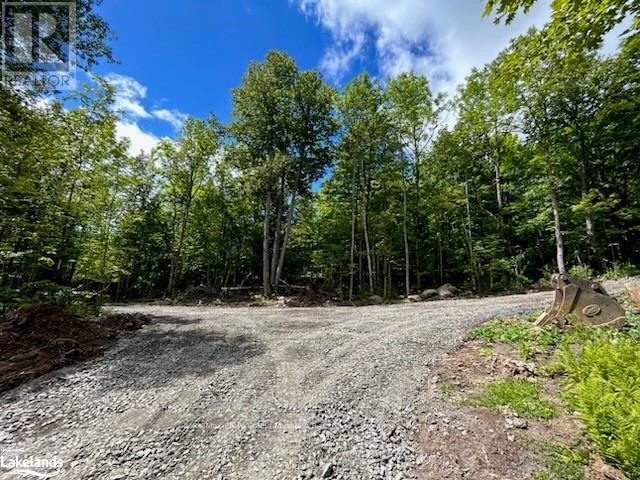 0-3 Jacks Lake, Parry Sound Remote Area, Ontario  P0H 1N0 - Photo 2 - X10435072