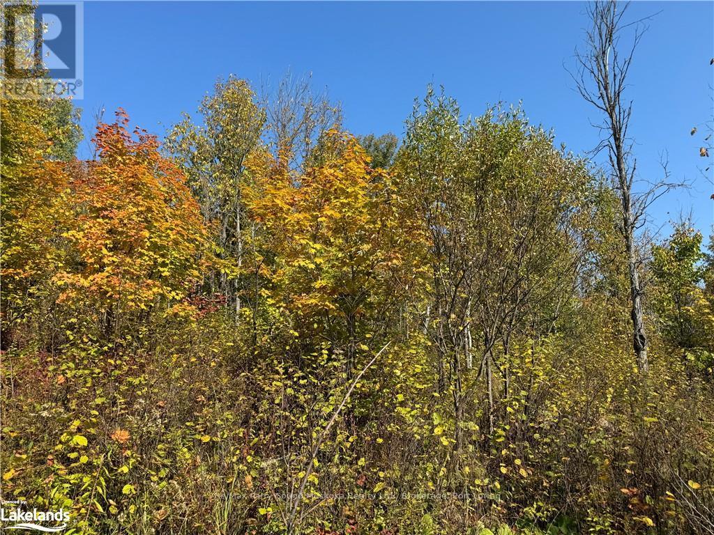0-3 Jacks Lake, Parry Sound Remote Area, Ontario  P0H 1N0 - Photo 4 - X10435072