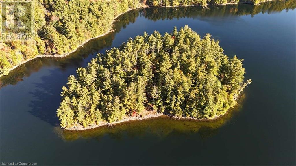 100 KILGORE Island, cloyne, Ontario