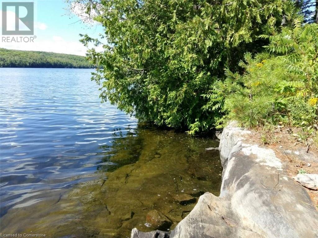 100 Kilgore Island, Cloyne, Ontario  K0H 1K0 - Photo 11 - 40659368