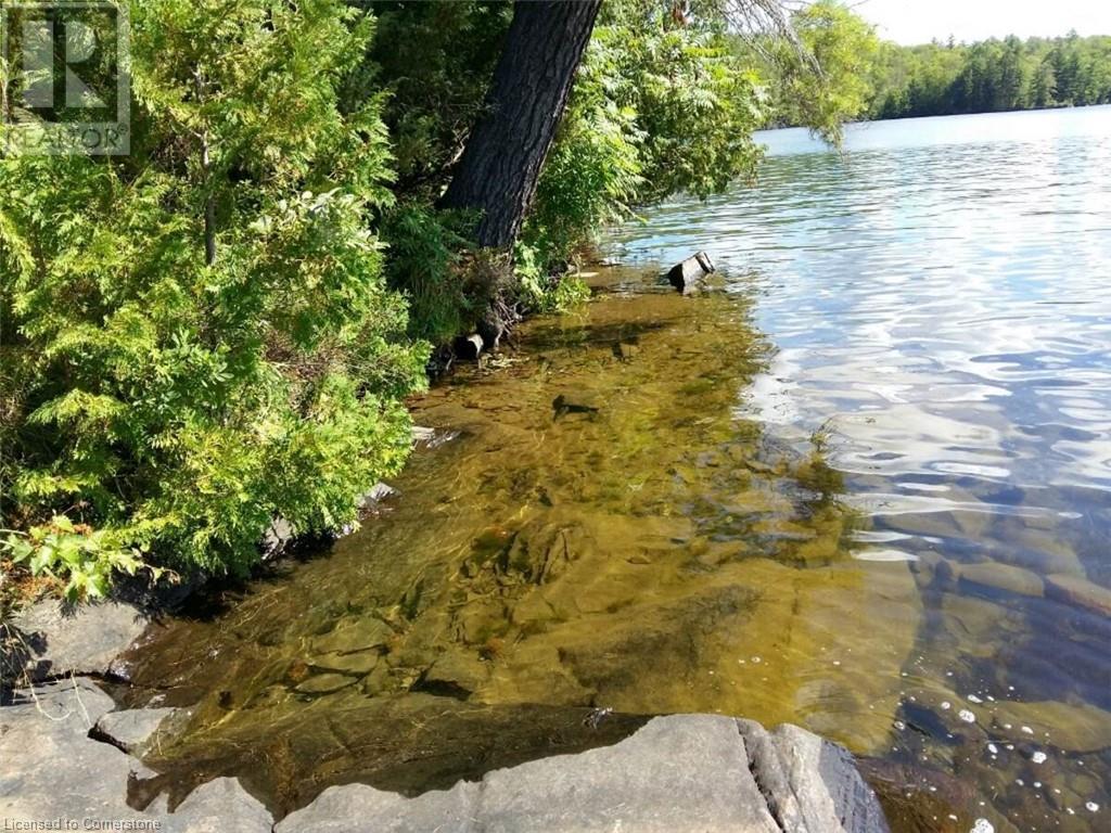 100 Kilgore Island, Cloyne, Ontario  K0H 1K0 - Photo 12 - 40659368