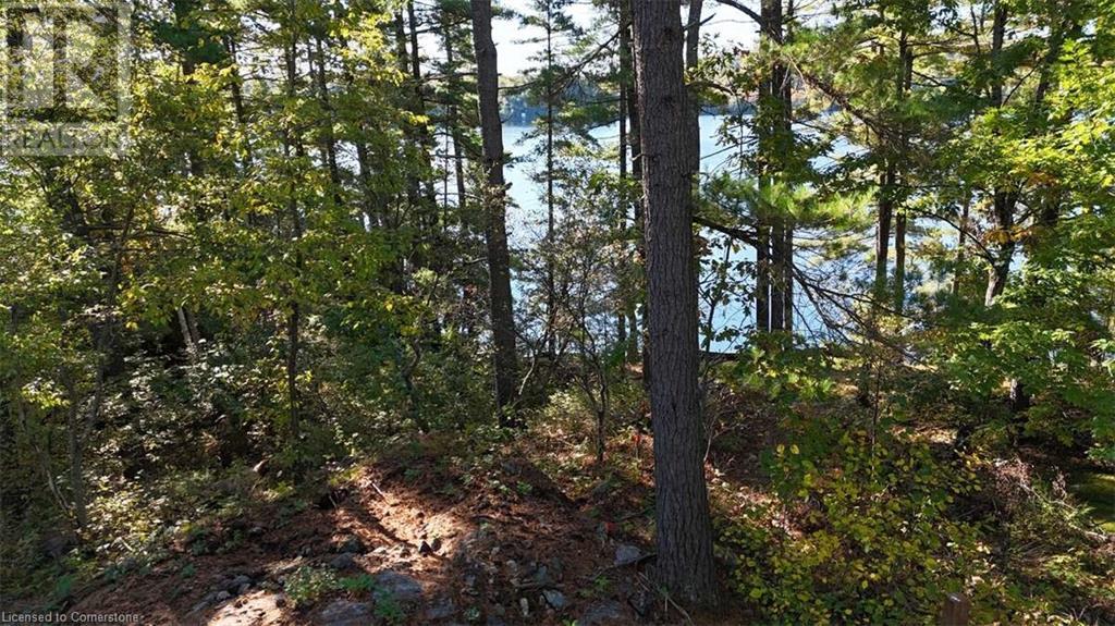 100 Kilgore Island, Cloyne, Ontario  K0H 1K0 - Photo 17 - 40659368