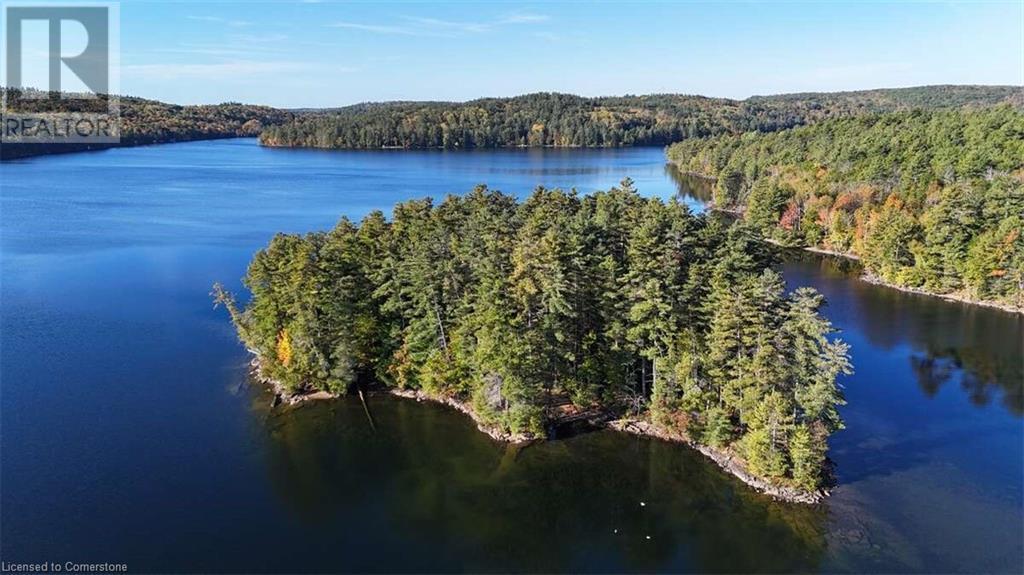 100 Kilgore Island, Cloyne, Ontario  K0H 1K0 - Photo 2 - 40659368