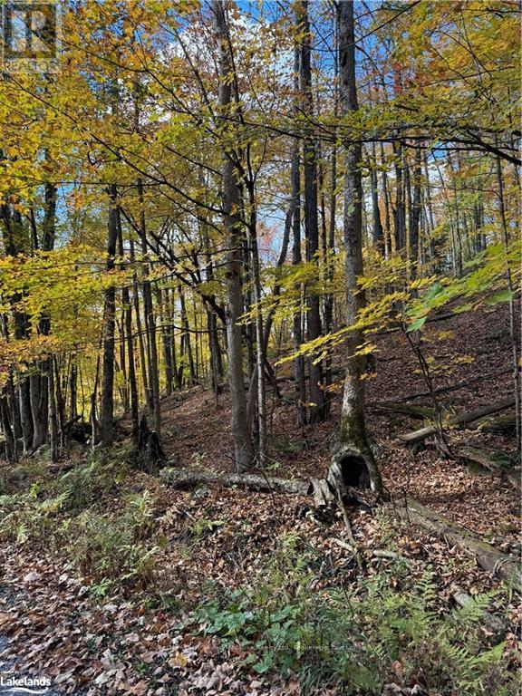 353C BALSAM CREEK ROAD, Parry Sound Remote Area, Ontario