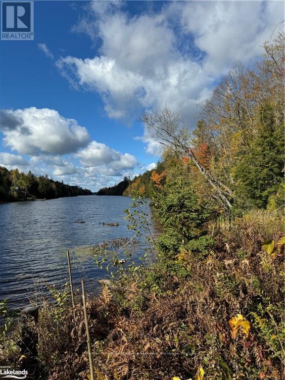 353c Balsam Creek Road, Parry Sound Remote Area, Ontario  P0H 1S0 - Photo 2 - X10435678