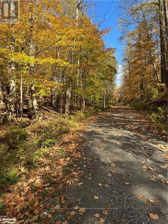 353c Balsam Creek Road, Parry Sound Remote Area, Ontario  P0H 1S0 - Photo 4 - X10435678