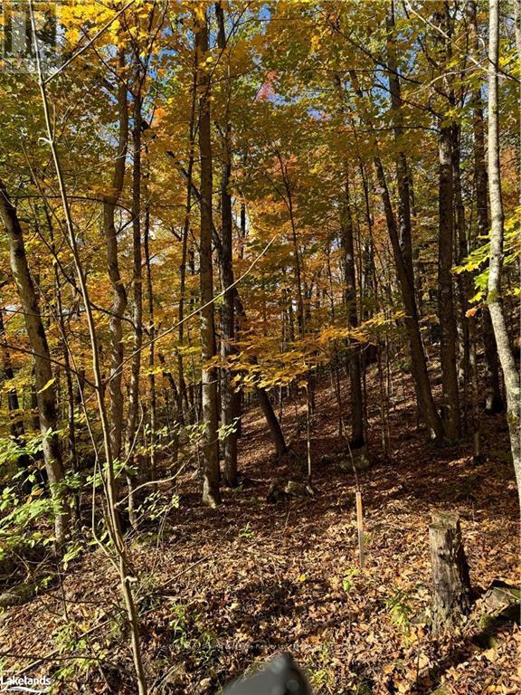353c Balsam Creek Road, Parry Sound Remote Area, Ontario  P0H 1S0 - Photo 5 - X10435678