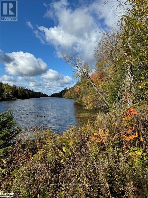 353c Balsam Creek Road, Parry Sound Remote Area, Ontario  P0H 1S0 - Photo 8 - X10435678
