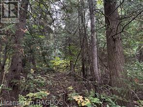 4 Shore Road, Saugeen Shores, Ontario  N0H 2L0 - Photo 1 - X10846351