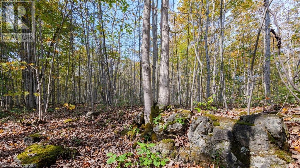 Pt Lt 25 Conc 16 Grey Road 17, Georgian Bluffs, Ontario  N0H 2T0 - Photo 4 - X10846397