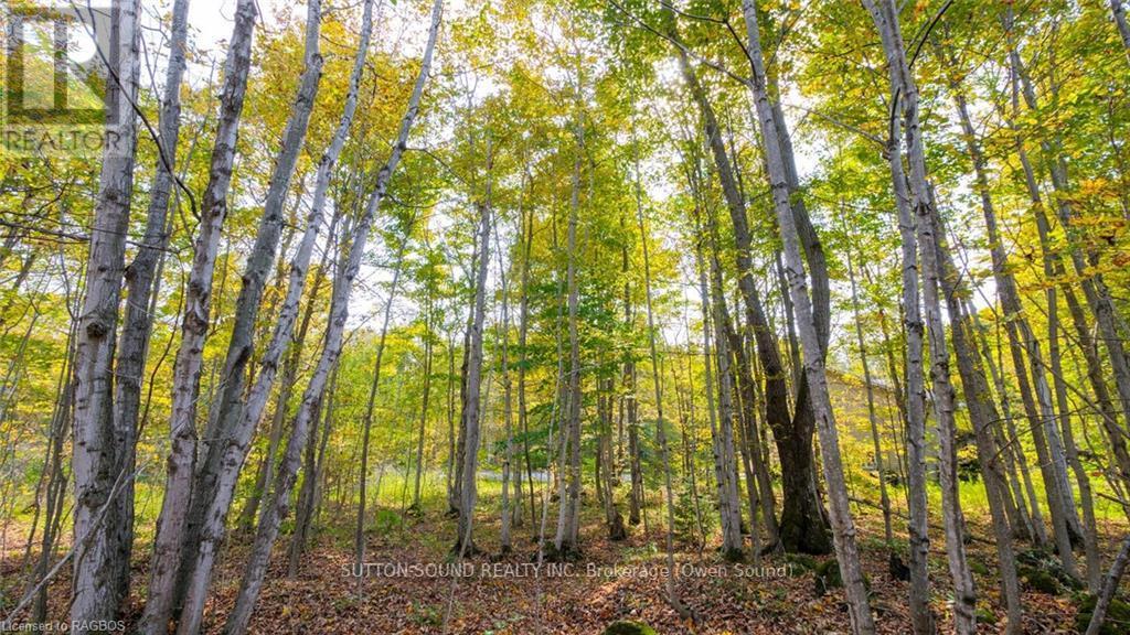 Pt Lt 25 Conc 16 Grey Road 17, Georgian Bluffs, Ontario  N0H 2T0 - Photo 5 - X10846397