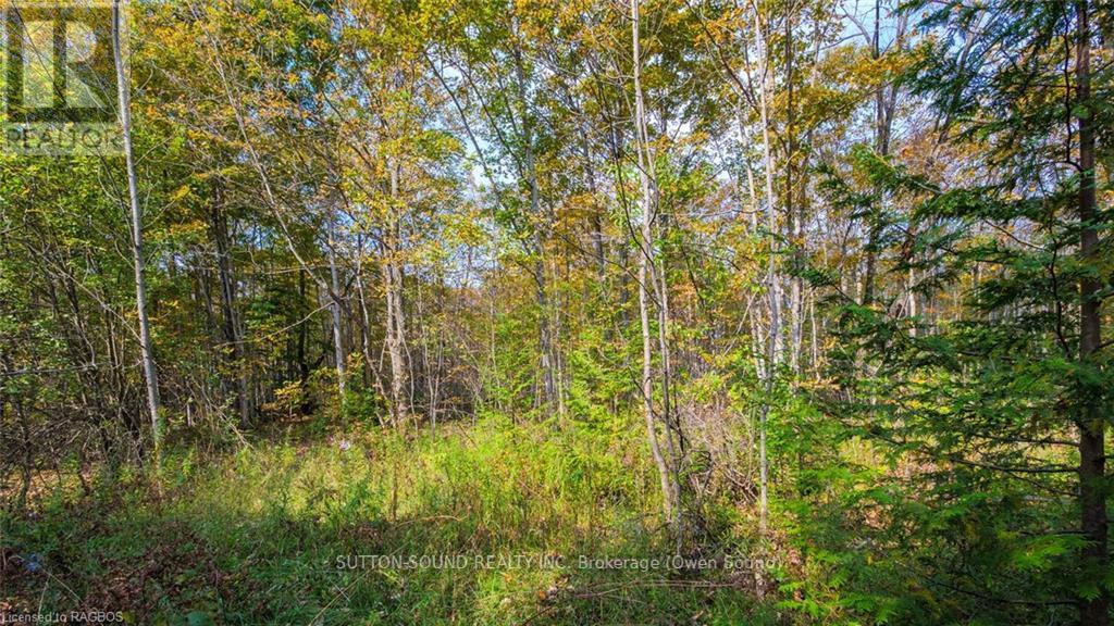 Pt Lt 25 Conc 16 Grey Road 17, Georgian Bluffs, Ontario  N0H 2T0 - Photo 8 - X10846397