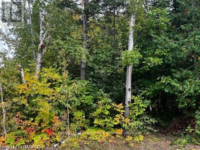 7 SHORE ROAD, Saugeen Shores, Ontario