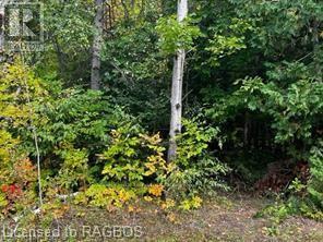 7 Shore Road, Saugeen Shores, Ontario  N0H 2L0 - Photo 2 - X10846257