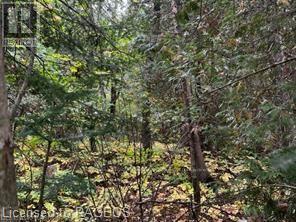 7 Shore Road, Saugeen Shores, Ontario  N0H 2L0 - Photo 3 - X10846257